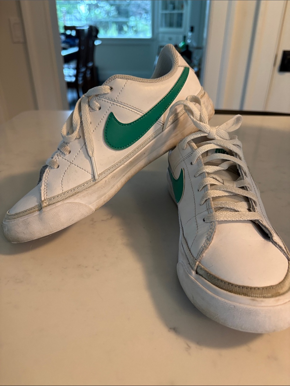 Nike Boys Court Legacy White/Stadium Green 5Y